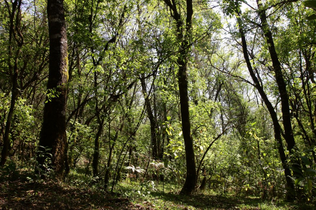 Parque Sierra San Javier